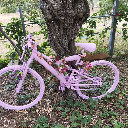 شقة Koula 2-tomi *