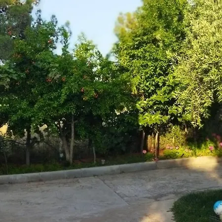 Koula 2-tomi