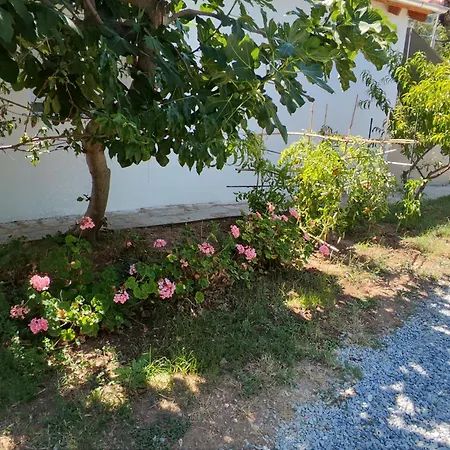 Apartament Koula 2-tomi Potos