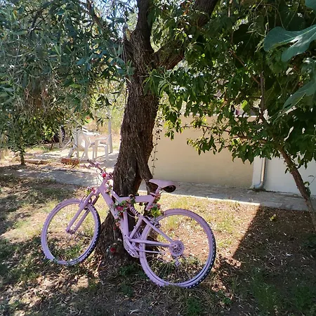 Koula 2-tomi Apartament