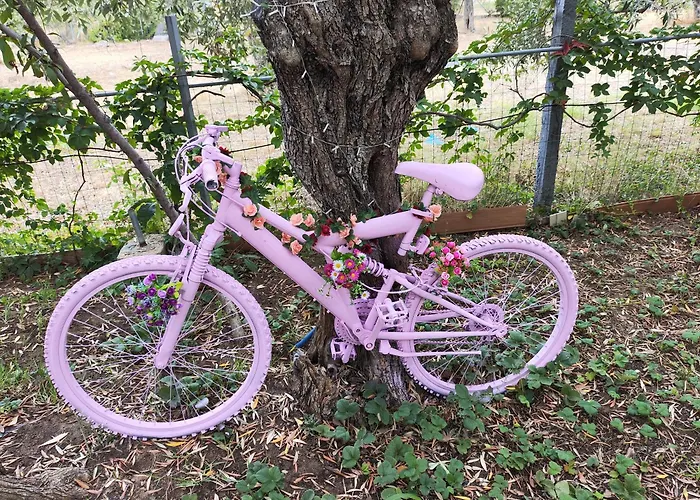 Apartamento Koula 2-tomi *